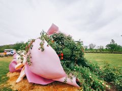 -上海辰山植物园