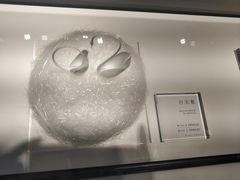 -BLACKSWAN黑天鹅(环球店)