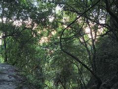-普者黑风景区-青龙山