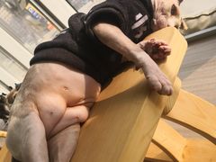 -藏猫猫咖啡主题馆(中央大道店)