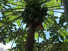 -洞背山庄(洞背院区式管理小区店)