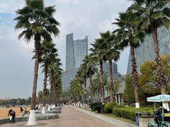 -金沙湖公园