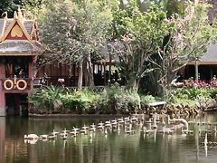 -西双版纳原始森林公园