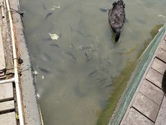 -五缘湾湿地公园