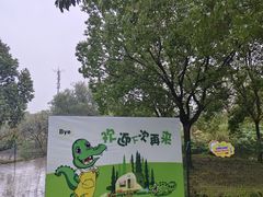 -中国扬子鳄村