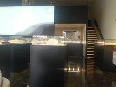 -BLACKSWAN黑天鹅(环球店)