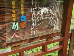 -东平国家森林公园