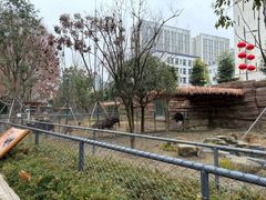 -成都动物园
