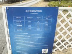 -九科绿洲