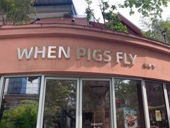 -WHEN PIGS FLY当猪飞