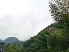 -四明山国家森林公园