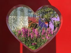 -海心沙亚运公园