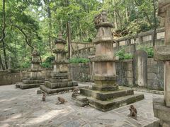 -黔灵山公园