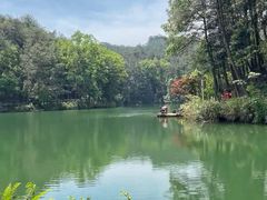 -缙云山景区