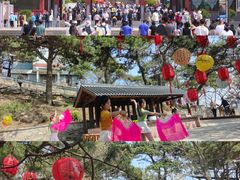 -沂蒙山旅游区龟蒙景区