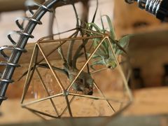 -METAL HANDS(五道营店)