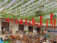 -燕北云山·农家菜·灶台鱼(密云溪翁庄店)