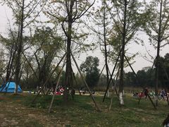 -白鹭湾湿地公园