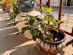 -StorHub 趣存自助仓·迷你仓(虹桥店)