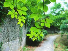 -南京市江宁方山