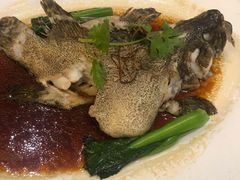 龙趸鱼-顺峰(农展馆店)