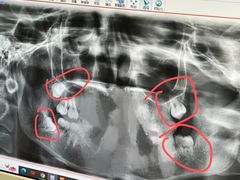 -维乐口腔(格林门诊长宁店)