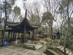 -上海佘山国家森林公园天马山园