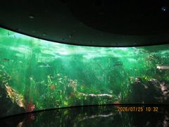 -中国湿地博物馆