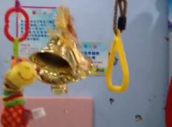 -开心岛儿童水上主题俱乐部(三环路店)