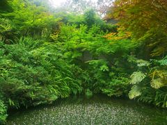 -南山植物园