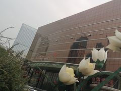 -金贵源食神(楚河汉街店)