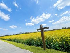 -中国天府农业博览园