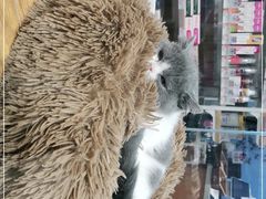 -狗道宠物(常熟印象城店)