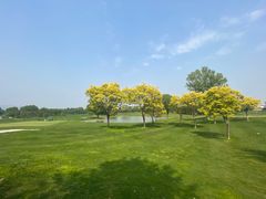 -北京京辉高尔夫俱乐部有限公司