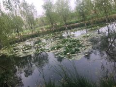 -永定河休闲森林公园