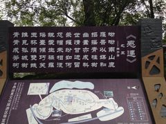 -子昂故里文化旅游区