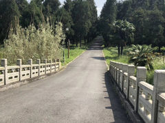 -东平国家森林公园