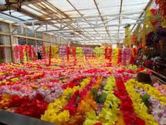 -吉祥圣雪藏餐