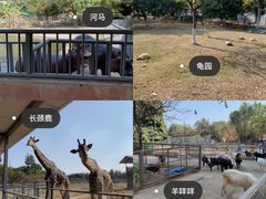 -东莞香市动物园
