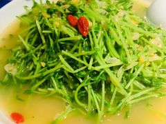 上汤豆苗-鼎盛蜀坊·重庆江湖菜(市桥地铁站店)