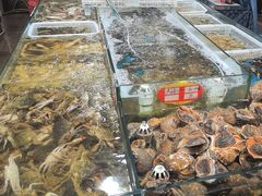 -旺角小渔村(幸福中路店)