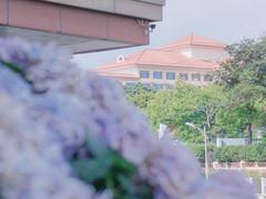-八大关景区