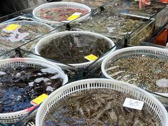 -船奇蒸汽海鲜·闽菜(八市海鲜总店)