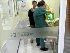 -艾吉宠物医院·疑难杂症转诊中心·猫友好(碧江路院)