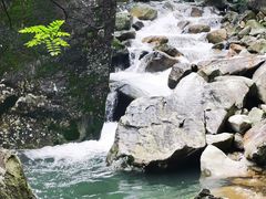 -大鄣山卧龙谷景区