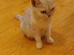 -万小咖.猫咖(中山路天虹店)