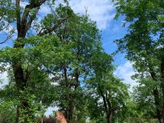 -白鹭湾湿地公园