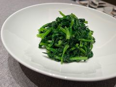 清炒豆苗-荣府宴(南阳路店)