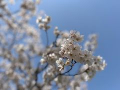 -龙美术馆(西岸馆)