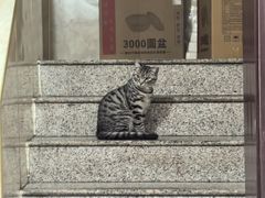 -山城家常菜铁锅炖鱼